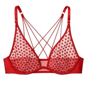 Victoria’s Secret Luxe Plunge Starburst Bra 36DDD